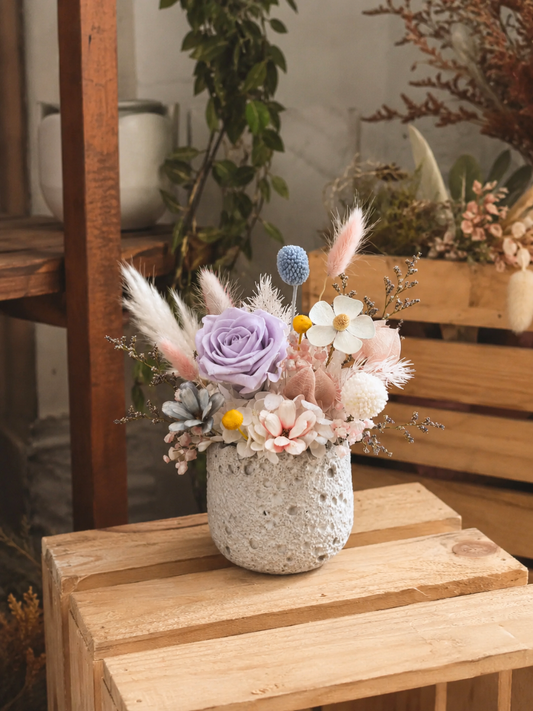 Mini Tender Touch + Giftbox