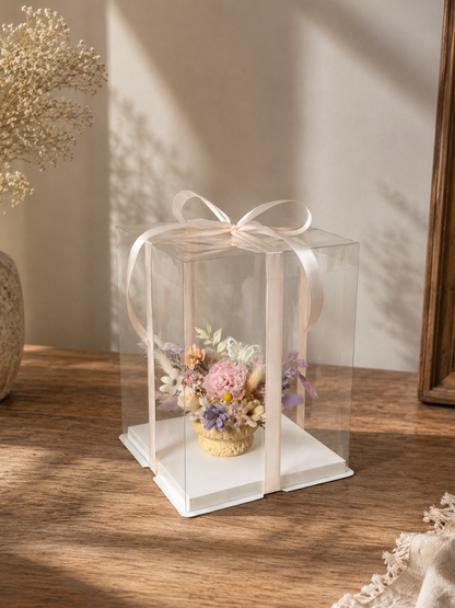 Mini Embrace + Giftbox